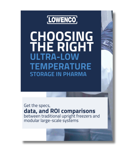 Mockup Whitepaper - LSSU - Choosing the Right (459x520) (1)