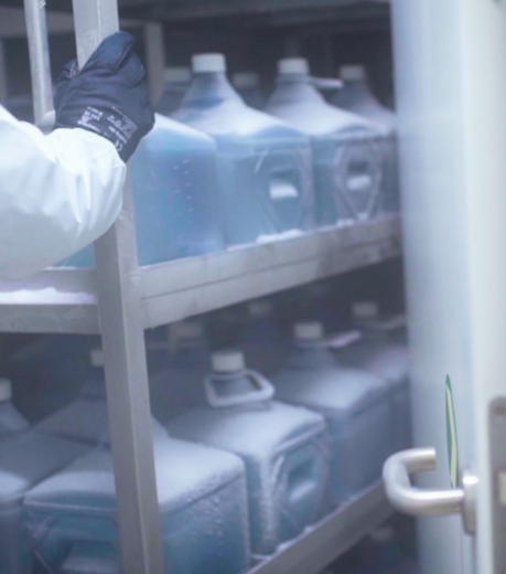 LSBU  (459 x 520 px)