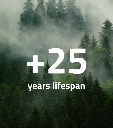 +25 years lifespan 600 x 600 px