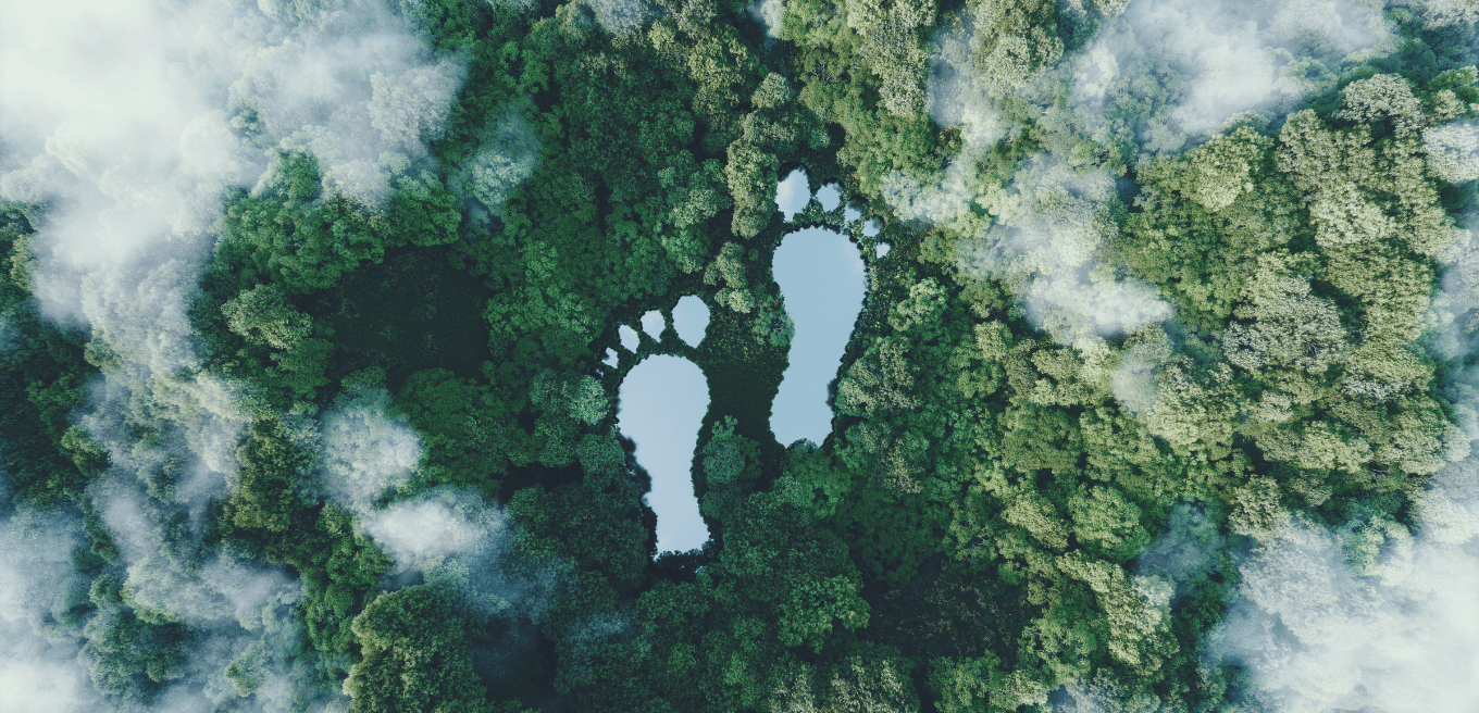 Sustainabilty Hero - picture 4