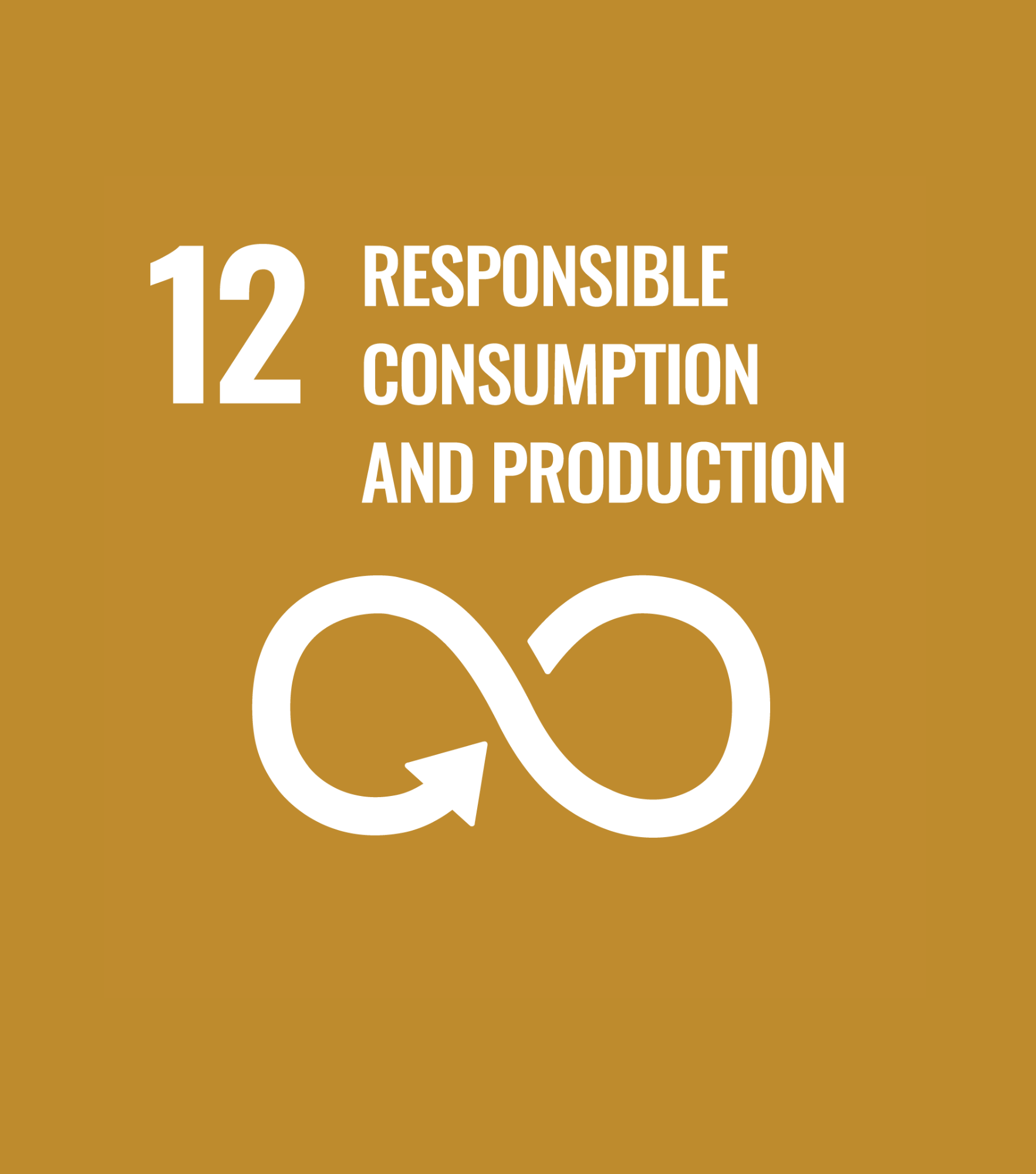 UN Goals 12 Responsable consumpsion and produktion